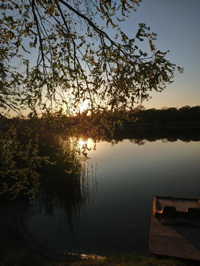 Relax II. Vendégház Dunapataj Kültér fotó