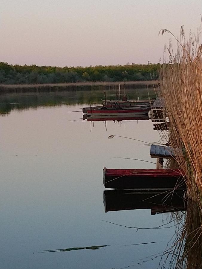 Relax II. Vendégház Dunapataj Kültér fotó
